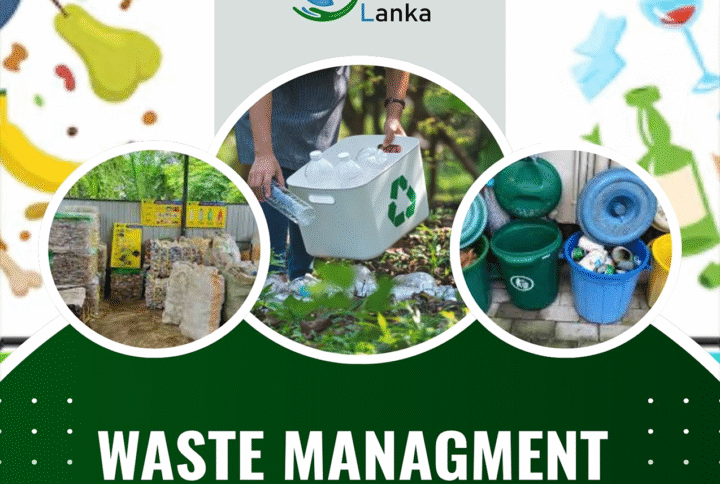 Waste Management Survey